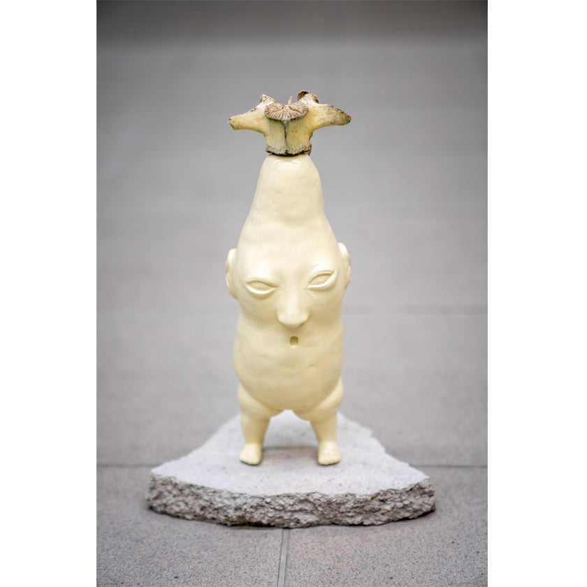 Katalin Kortmann-Járay / Mandragora