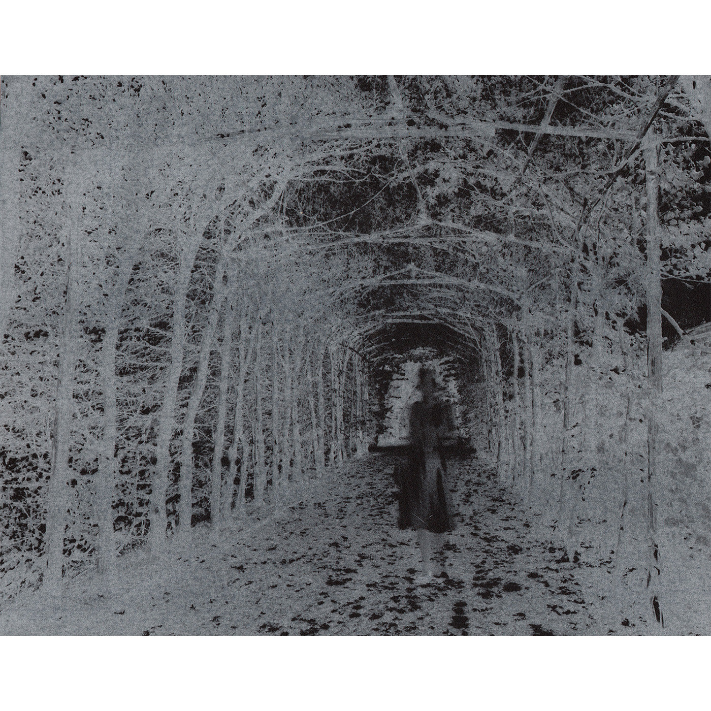 Birgit Graschopf - Untitled III